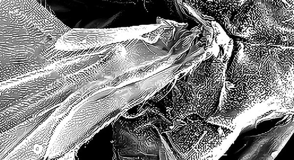 CRB GmbH | Generazione di immagini su microscopio elettronico a scansione | © CRB Analyse Service GmbH