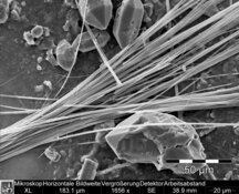 Anfibolasbestos, tremolite in gesso - alta risoluzione HD: 3872 x 2904 px /Dimensione file ca 10,7 MB | © CRB Analysis Service GmbH