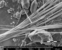 Anfibolasbestos, tremolite in gesso - risoluzione media HD: 3232 x 2420 px /Dimensione file circa 7,5 MB | © CRB Analysis Service GmbH