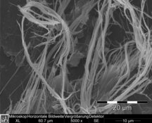 Chrysotile dans les colles bitumineuses noires brunâtres - Résolution HD élevée : 3872 x 2904 px / taille du fichier env. 10,7 Mo | © CRB Analyse Service GmbH