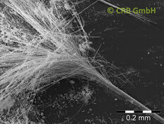 Fagotto di fibre splicing fatto di anfibolasbesto, amosite | © CRB Analysis Service GmbH