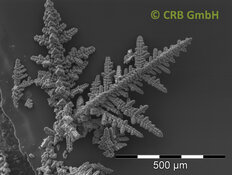 Dendriti di ossidi di ferro-manganese | © CRB Analysis Service GmbH