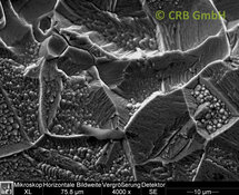 Corrosion d’une tôle en acier | © CRB Analyse Service GmbH