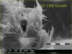 Amiante de chrysotile dans joints, image MEB | © CRB Analyse Service GmbH