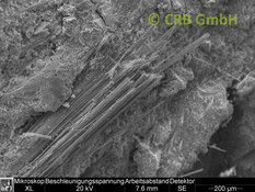 Amiante d’amosite dans promabest, image MEB | © CRB Analyse Service GmbH