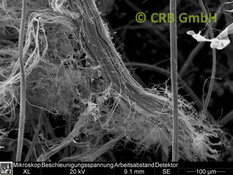 Amiante de chrysotile dans promabest, image MEB | © CRB Analyse Service GmbH