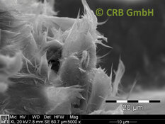 Amianto crisotilo immagine SEM in piastra flessibile | © CRB Analysis Service GmbH