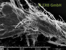 Amiante de chrysotile dans mastic, image MEB | © CRB Analyse Service GmbH