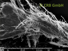 Imagen MEB amianto crisotilo en linóleo | © CRB Analysis Service GmbH