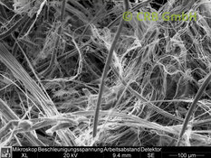 Amiante de chrysotile dans joint plat, image MEB | © CRB Analyse Service GmbH