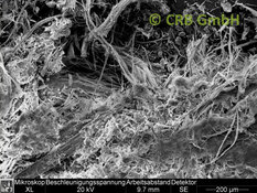 Amiante de chrysotile dans radiateur à accumulation, image MEB | © CRB Analyse Service GmbH