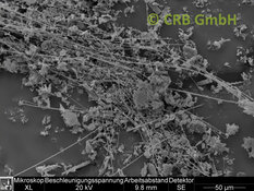 Amiante de chrysotile dans diatomite, image MEB | © CRB Analyse Service GmbH