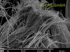 Amiante de chrysotile dans carton amianté, image MEB | © CRB Analyse Service GmbH