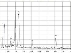 Amiante d'actinolite dans crépis, mastic, spectre EDX | © CRB Analyse Service GmbH