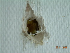 Asgesthaus - Ubicazione: Intonaco e stucco, Spatola per cartongesso | © 2019, CRB Analyse Service GmbH | © CRB Analysis Service GmbH