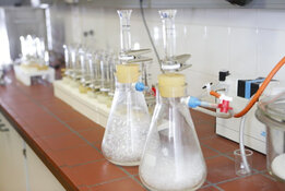 CRB GmbH | Preparazione del campione di asfalto per l'analisi dell'amianto 2 | © CRB Analysis Service GmbH