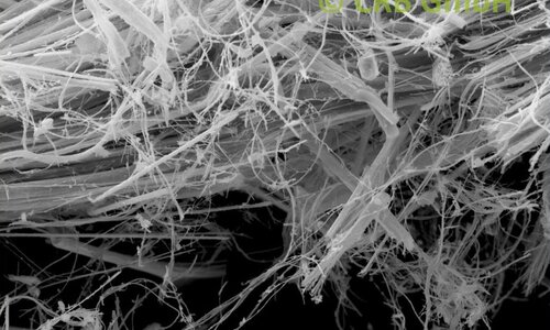 Amiante de chrysotile dans cordon amianté, image MEB | © CRB Analyse Service GmbH