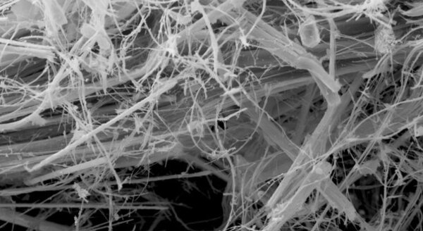 Amiante de chrysotile dans cordon amianté, image MEB | © CRB Analyse Service GmbH