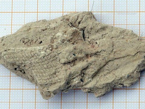 Analyse d’amiante dans la diatomite | © CRB Analyse Service GmbH