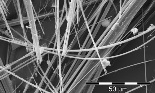 Amiante d’amosite dans fibrociment, image MEB | © CRB Analyse Service GmbH