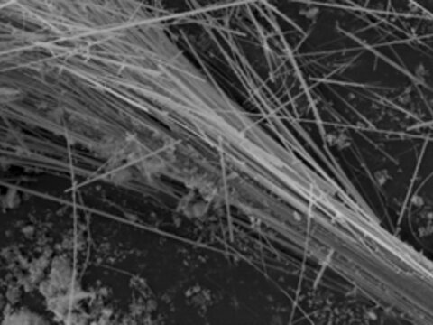 CRB GmbH | Asbestos analysis of amosite | © CRB Analyse Service GmbH