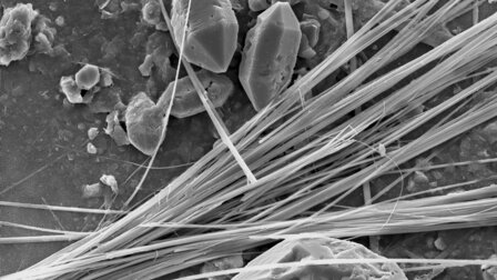 Amphibolasbestos, tremolita en yeso - baja resolución HD: 2576 x 1936 px /Tamaño del archivo aprox 4.8 MB | © CRB Analysis Service GmbH