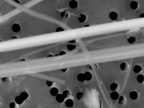 CRB GmbH | SEM-picture of chrysotile asbestos and amhibole asbestos, amosit on airfilter | © CRB Analyse Service GmbH