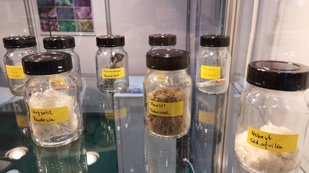 Recopilación de material para análisis, con especial atención al amianto y al radón. | © CRB Analyse Service GmbH