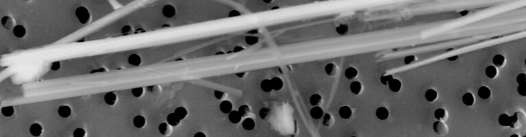 CRB GmbH | MEB-Bild Chrysotil und Amosit auf Luftfilter | © CRB Analyse Service GmbH