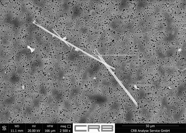 Image MEB : fibres d'amiante sur un filtre