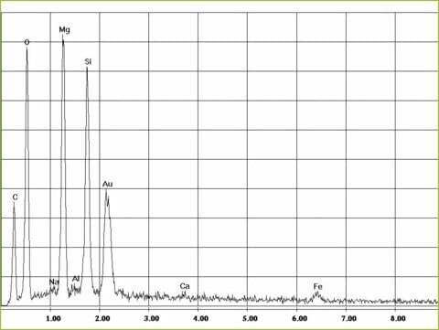 REM-Bild Chrysotil-Asbest in Flachdichtung | © CRB Analyse Service GmbH REM-Bild Chrysotil-Asbest in Flachdichtung | © CRB Analyse Service GmbH