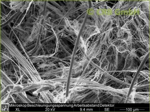 REM-Bild Chrysotil-Asbest in Flachdichtung | © CRB Analyse Service GmbH REM-Bild Chrysotil-Asbest in Flachdichtung | © CRB Analyse Service GmbH