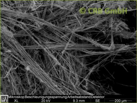 SEM-picture of amphibole asbestos, amosite in sprayed asbestos, loose fill asbestos fibres | © CRB Analyse Service GmbH SEM-picture of amphibole asbestos, amosite in sprayed asbestos, loose fill asbestos fibres | © CRB Analyse Service GmbH