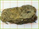 Dämmplatten aus Mineralwolle