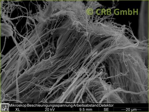 REM-Bild Chrysotil-Asbest in Asbestpappe | © CRB Analyse Service GmbH REM-Bild Chrysotil-Asbest in Asbestpappe | © CRB Analyse Service GmbH