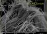 SEM-picture of chrysotile asbestos in asbestos bearing millboards | © CRB Analyse Service GmbH