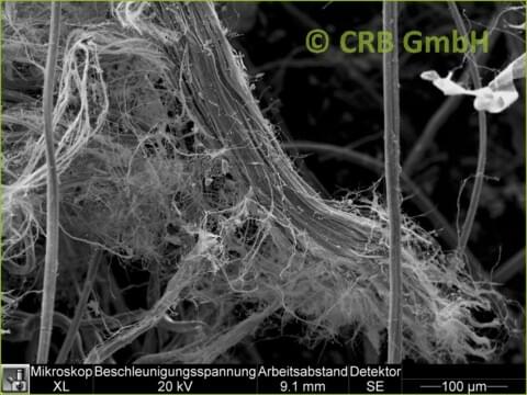 REM-Bild Chrysotil-Asbest in Filz | © CRB Analyse Service GmbH REM-Bild Chrysotil-Asbest in Filz | © CRB Analyse Service GmbH