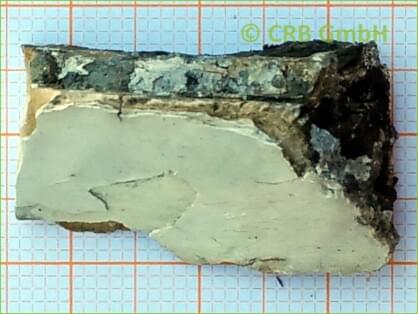 Analisi dell'amianto nel talco, scansione della pietra ollare elettrone assorbimento microscopico di anfibolasbestos, tremolite