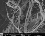 Chrysotilasbest in einem bituminösen Fliesenkleber, ca. 5000-fache Vergrößerung
