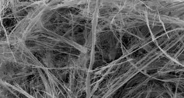 SEM-picture of amphibole asbestos, krokydolite | © CRB Analyse Service GmbH
