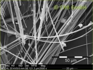 SEM-afbeelding actinoliet | © CRB Analyse Service GmbH