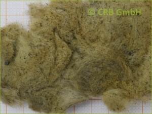assorbimento macroscopico di lana minerale | © CRB Analysis Service GmbH