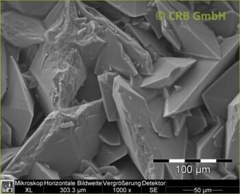 Calculs rénaux en oxalate de calcium
