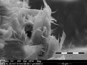Feinster Chrysotilasbest in einem PVC-Bodenbelag | © CRB Analyse Service GmbH