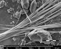 Amphibolasbestos, tremolita en yeso - baja resolución HD: 2576 x 1936 px /Tamaño del archivo aprox 4.8 MB | © CRB Analysis Service GmbH