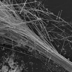CRB GmbH | Asbestanalyse Amosit | © CRB Analyse Service GmbH CRB GmbH | Asbestanalyse Amosit | © CRB Analyse Service GmbH