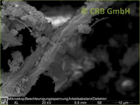 Amiante de chrysotile dans magnésite, image MEB | © CRB Analyse Service GmbH Amiante de chrysotile dans magnésite, image MEB | © CRB Analyse Service GmbH