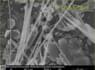 Amiante de trémolite dans magnésite, image MEB | © CRB Analyse Service GmbH