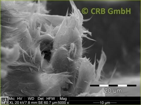 SEM-picture of chrysotile asbestos in asbestos bearing gaskets | © CRB Analyse Service GmbH SEM-picture of chrysotile asbestos in asbestos bearing gaskets | © CRB Analyse Service GmbH