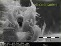 SEM-picture of chrysotile asbestos in asbestos bearing gaskets | © CRB Analyse Service GmbH